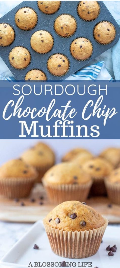 Sourdough Banana Chocolate Chip Muffins, Sourdough Discard Protein Muffins, Easy Sourdough Discard Muffins, Sourdough Breakfast Muffins, Discard Sourdough Muffins, Chocolate Chip Sourdough Muffins, Sourdough Muffins Chocolate Chip, Sourdough Discard Freezer Recipes, Sourdough Discard Chocolate Chip Muffins