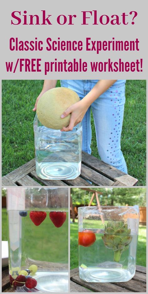 Farmers Market Science Preschool, Will It Float Or Sink, Garden Science Experiments For Kids, Preschool Vegetable Activities, Fruits Activities For Kids, Farmers Market Preschool, Vegetable Activities For Preschool, Fruit And Vegetables Activities For Kids, Sink Or Float Preschool