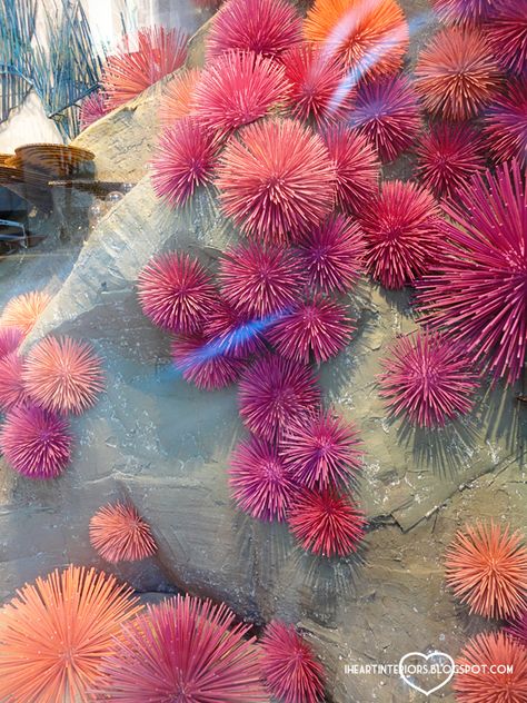 Diy Sea Urchin, Underwater Window Display, Ocean Window Display, Deep Sea Decor, Auction Display Ideas, Under The Sea Decorations Ocean Themes, Under The Sea Halloween, Jellyfish Flower, Deep Sea Discovery Vbs