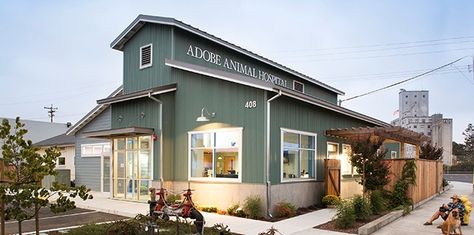 Animal Shelter Design, Hospital Design Architecture, Petaluma California, Hospital Architecture, Shelter Design, Aircraft Interiors, Orthopedic Surgery, Pet Clinic, Vet Clinics