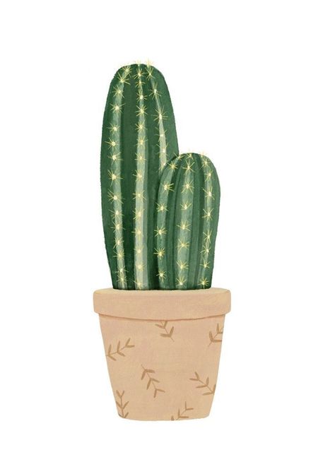 Cactus Indoor, Kaktus Dan Sukulen, Garden Cactus, Cactus Drawing, Indoor Cactus, Cactus Painting, Plant Wallpaper, Cactus Art, Plant Drawing