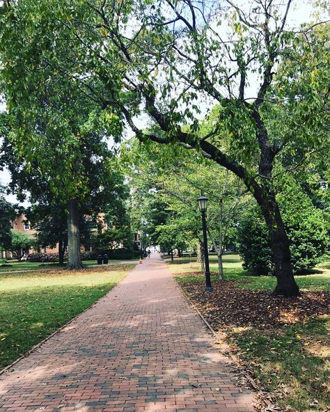 Unc Chapel Hill Aesthetic, Hill Aesthetic, College Vision Board, Unc Chapel Hill, School Vibes, Chapel Hill Nc, Dream College, University Of North Carolina, Chapel Hill