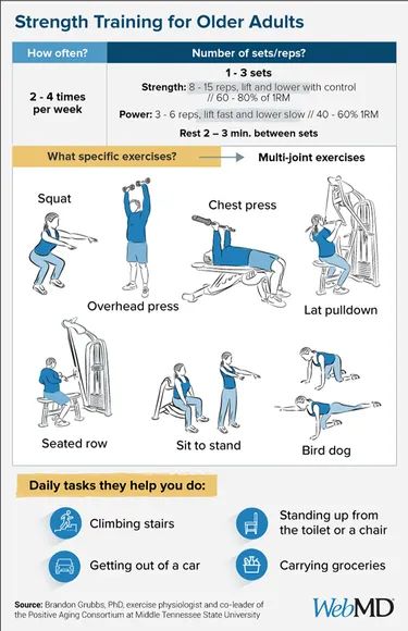 How Old Is Too Old to Start Strength Training? Elderly Workouts Strength Training, Silver Sneakers Workout Senior Fitness Strength Training, Senior Strength Training Workout, Strength Training For Seniors, Elderly Workouts Senior Fitness, Gym Program, Retirement Life, Seated Exercises, Nasm Cpt