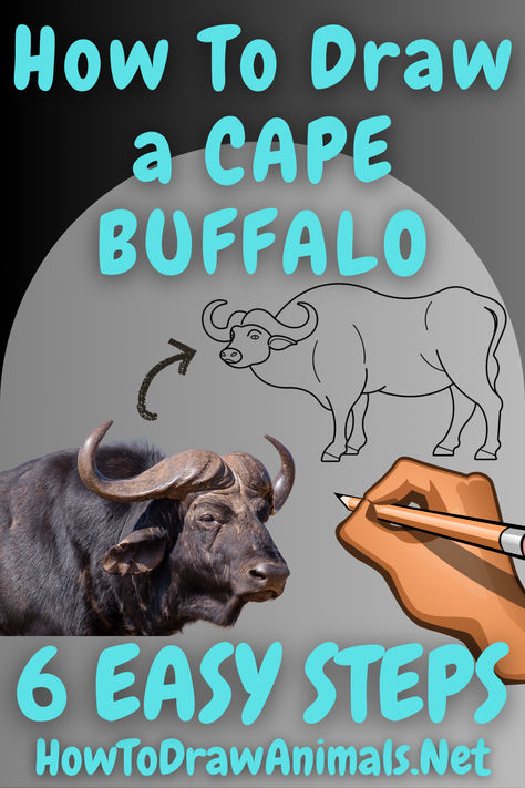 learn to quickly draw a cape buffalo in six steps Drawing Tutorial Easy, Drawing Skills, Wildlife Art, Easy Step, Learn To Draw, Buffalo, Drawing Tutorial, Animal Drawings, Cape