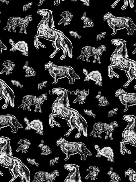 Veterinary Technician :: X-ray Animal Bones Anatomy by tinaschofield X Ray Animals, Dvm Veterinary Medicine Wallpaper, Vetmed Wallpaper, Veterinary Wallpaper Iphone, Vet Tech Wallpaper, Vet Aesthetic Wallpaper, Veterinary Medicine Wallpaper, Vet Background, Veterinarian Aesthetic Wallpaper