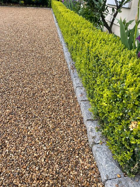 Naturally angular and hard-wearing, this attractive gravel has a warm golden brown palette with some creams and browns. Suitable applications include use with gravel grids, mulching of borders‚ paths‚ loose driveways and general landscaping. Laid on ECCOgravel stabilisation sheets. Project by Spring Landscapes. CED Stone Inspiring Beautiful Landscapes Golden Gravel Garden, Golden Gravel Driveway, Crushed Rock Driveway, Gravel Driveway Edging Cheap, Rock Driveways, River Rock Driveway, Gravel Driveway Edging, Gravel Grid, Golden Gravel