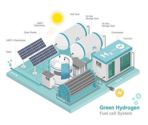 Isometric Infographic, Hydrogen Fuel Cell, Hydrogen Fuel, Energy Power, Plant Cell, Fuel Cell, All About Plants, Power Plant, Ecology