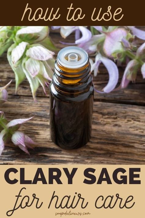 How to Use Clary Sage for Hair. Plus natural hair care recipes with essential oils. Learn how to use clary sage for hair with three easy clary sage hair care recipes. Discover the benefits of clary sage essential oil as part of your beauty routine for DIY hair care. Plus explore making hair care products with my collection of other natural hair care recipes for homemade hair masks, hot oil treatments, homemade shampoo and conditioners, a hair lightening spray, hair detangler and more. Apple Cider Vinegar Hair Rinse Recipe, Vinegar Hair Rinse Recipe, Homemade Shampoo And Conditioner, Apple Cider Hair, Herbal Hair Conditioner, Homemade Hair Masks, Hair Rinse Recipe, Sage Hair, Hair Conditioner Recipe