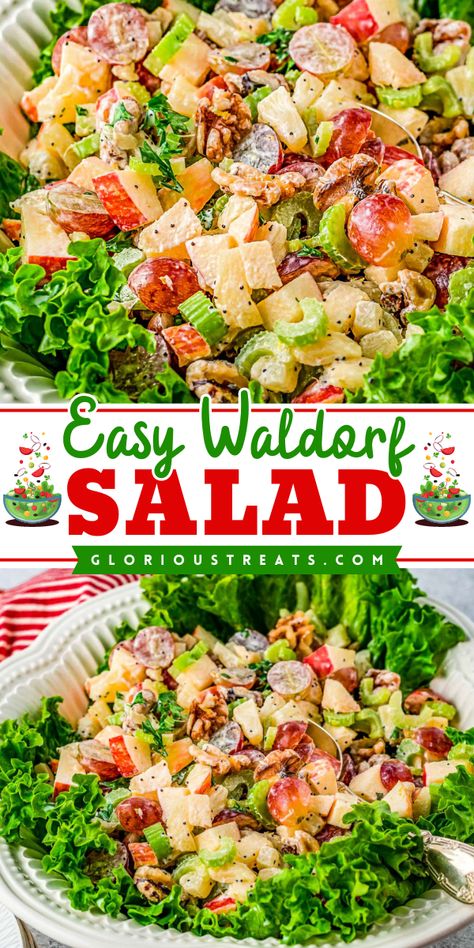 Here's a tasty Thanksgiving side dish recipe! This Easy Waldorf Salad Recipe features crunch, sweet, and citrusy flavors of chopped fruit, crunchy nuts, and creamy citrus dressing. Serve this nutritious side dish at the Thanksgiving dinner party! Easy Waldorf Salad, Chopped Fruit, Waldorf Salad Recipe, Main Salad, Great Dinner Recipes, Thanksgiving Dinner Party, Waldorf Salad, Thanksgiving Side Dish, Citrus Dressing