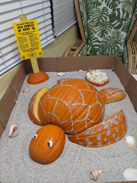 Happy Halloween Turtle Lovers by Tracy Thompson Sea Turtle Pumpkin Carving, Puffer Fish Pumpkin Decorating, Octopus Pumpkin Decorating, Pumpkin Carving Ideas Beach Theme, Halloween Turtle, Coastal Halloween, Turtle Pumpkin, Story Book Pumpkin, Coastal Fall