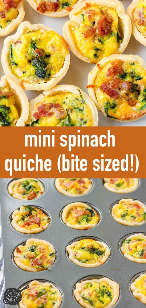 Mini Spinach Quiches Mini Spinach Quiche Recipes Easy, Quiche Bites Appetizers, Mini Quiche Bites, Quiche Bites Recipes, Quiche Recipes Mini, Quiche Muffin Recipes, Individual Quiche Recipes, Mini Spinach Quiche, Individual Quiche