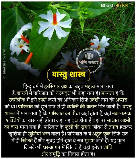 Vastu For Garden, Vastu Shastra Tips In Hindi, Vastu Shastra Hindi, Vastu Plants For Home, Vastu Tips House Hindi, Parijat Tree, Vastu Tips House, Lucky Plants For Home, Vastu Tips In Hindi