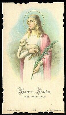 Patron Saint Of Animals, Friend Of God, Salve Regina, St Agnes, Catholic Images, Faith And Hope, Bride Of Christ, Catholic Gifts, Flower Border