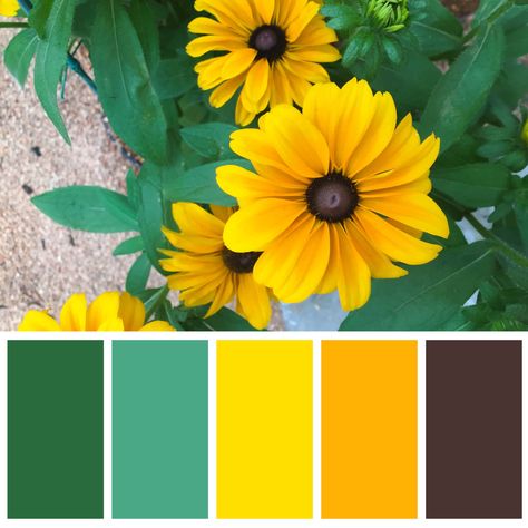 Colours Color Plattes, Paint Color Inspiration, Gold Color Palettes, Yellow Colour Scheme, Color Schemes Colour Palettes, Color Palette Bright, Design Seeds, Color Palette Design, Color Harmony