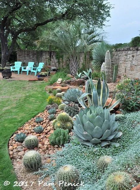 Cactus Garden Landscaping, Desert Backyard, Succulent Garden Landscape, Arizona Backyard, Cheap Landscaping Ideas, Succulent Landscape Design, Succulent Garden Design, Succulent Landscaping, Lake Travis