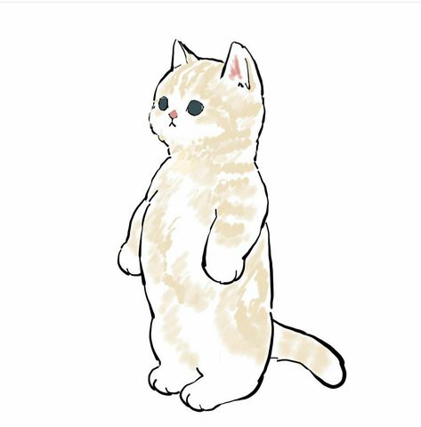 Sand Cats, Mofu Sand, Line Animation, Sand Cat, Kitten Drawing, Cat Tat, Munchkin Cat, Cute Cat Drawing, Cat Icon