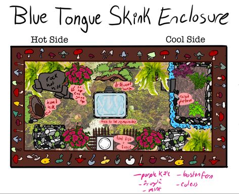 Blue Tongue Skink Art, Blue Tongue Skink Diet, Blue Tongue Skink Enclosure Ideas, Blue Tongue Skink Enclosure, Skink Enclosure, Dragon Enclosure, Blue Tongue Skink, Reptile Care, Terrarium Ideas