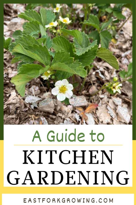 Thinking about growing a kitchen garden? This guide covers everything from kitchen garden ideas to what to plant in a kitchen garden for the best harvest. Learn how kitchen gardening can help you create your own food garden and discover what to grow in a kitchen garden that’s perfect for your lifestyle. Whether you’re a beginner or experienced, you’ll find great tips on what is kitchen gardening and garden planning and how to make it work for you! How To Plan A Garden, Vegetable Gardening For Beginners, Garden Journal Ideas, Food Garden Layout, Self Sufficient Garden, Kitchen Garden Ideas, Garden Simple, Kitchen Gardening, Kitchen Gardens