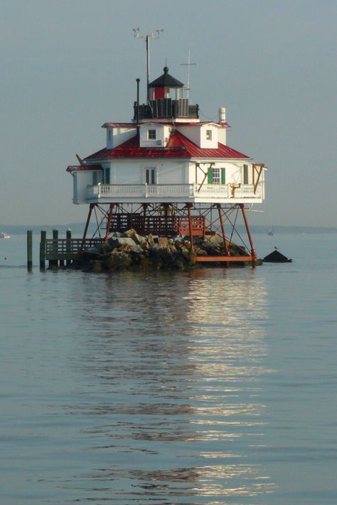 Florida Lighthouses, Lighthouse Tattoo, Beacon Of Light, Beautiful Lighthouse, Chesapeake Bay, Historic Preservation, House Boat, Lighthouse, Florida