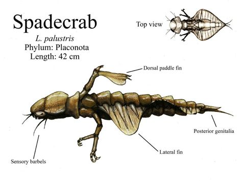 Alien Concept, Alien Concept Art, Alien Creatures, Fantasy Creatures Art, Monster Design, Creature Concept Art, Feeling Sick, Creature Concept, Creature Design