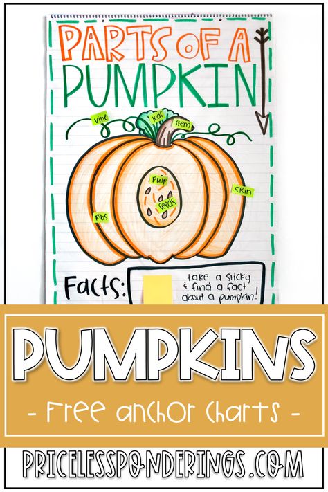 Grab a free guide to help you create beautiful pumpkin anchor charts HERE. Tons of fun pumpkin activities inside! Pumpkin Anchor Chart Kindergarten, Pumpkin Life Cycle Kindergarten, Pumpkin Anchor Chart, Theme Anchor Chart, Pumpkin Lesson Plans, Theme Anchor Charts, Pumpkin Lessons, Pumpkins Preschool, Pumpkins Kindergarten