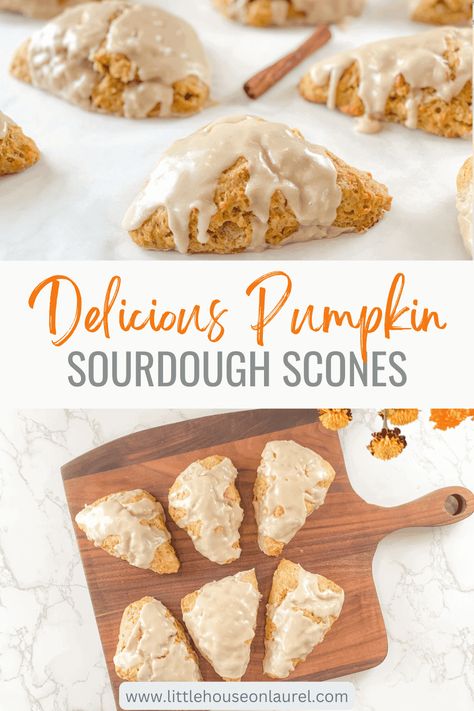 Sourdough Scones, Pumpkin Sourdough, Recipe Using Sourdough Starter, Recipe For Breakfast, Sourdough Starter Discard Recipe, Scones Easy, Homemade Sourdough Bread, Pumpkin Scones, Sourdough Starter Recipe