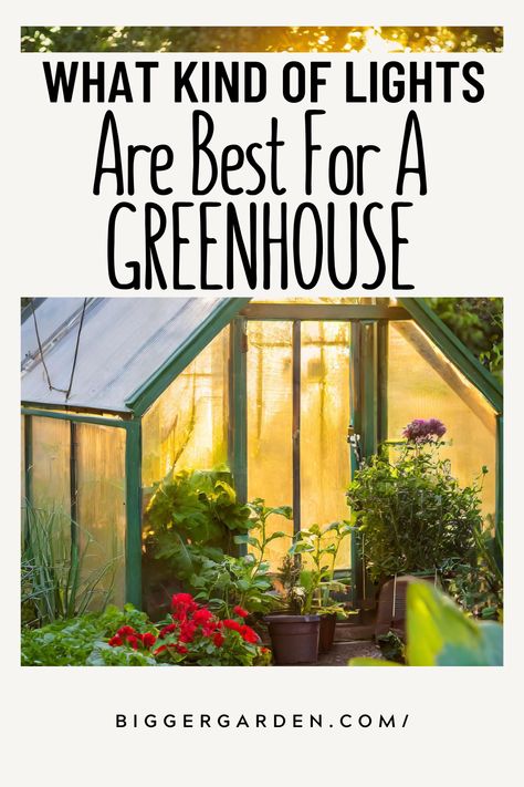 Explore 4 Of The Best Greenhouse Lights for Permaculture enthusiasts. Get tips on Diy Grow Light For Seedlings, Grow Lights For Seed Starting, and Seedlings Indoors Starting. Learn about Watering Seedlings, avoiding Leggy Seedlings, and making Grow Lights Diy. Perfect for your Garden greenhouse and as a Gardening Kit Gift. Greenhouse Lighting Ideas, Greenhouse Lighting, Greenhouse Grow Lights, Houseplant Grow Light Set Up, Grow Light Set Up Seed Starting, Inexpensive Grow Lights, How To Use Grow Lights For Seedlings, Best Grow Lights, Commercial Greenhouse