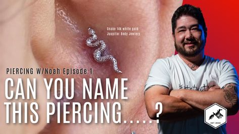 What are the Best Choices for Conch Piercing Jewelry? Give your fingers a little rest, don't rush into changing your conch jewelry, wait until your piercing is fully healed. Then you can explore various fun options to sparkle up your piercing. Please note some important points if you want to go for a piece of hoop jewelry that is perfect for getting an outer conch piercing; however, if you’re going to wear studs and a barbell, then an inner conch piercing is your ultimate choice. But don't worry Conch Piercing Styling, Double Conch Piercing, Conch Piercing Pain, Double Conch, Piercing Artist, Conch Ear Piercing, Outer Conch Piercing, Conch Piercing Stud, Outer Conch