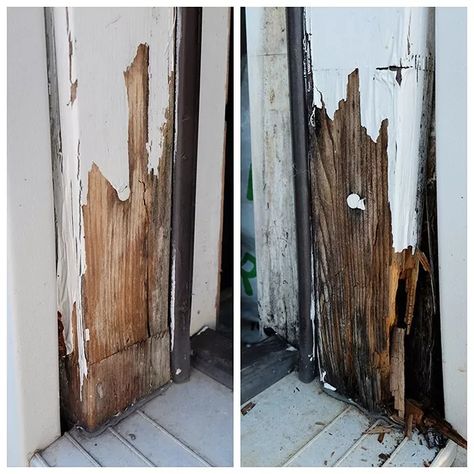 At some point, you're likely to run into some rotted wood outdoors that needs fixing. In our case, it was part of a door into the garage. No problem, let's get started! Scary, right?! What do you do when you see this? Run? Panic? Cover your eyes and keep walking? Now you can fix it!This isn't a complete overhaul redo but rather a minor replace/patch job because sometimes it just isn't in the cards to do a complete overhaul redo.This is the door that leads into our garage from… Garage Door Wood, Diy Exterior Door, Door Frame Repair, Replace Exterior Door, Garage Door Framing, Exterior Door Frame, Wood Door Frame, Diy Exterior, Wood Garage Doors