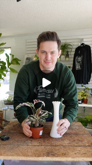 Tanner Mitchell on Instagram: "Calathea White Fusion in water culture. One of the most difficult things about calathea is keeping up with the frequent watering, but no need to fret if you plant in water! As always, cleanliness is important for water culture success- clean those roots! I recommend bright light for calathea- around 1000fc. #plantsofinstagram #houseplantcommunity" Calathea White Fusion, Plant In Water, Fusion Water, Easy House Plants, Calathea Plant, Water Plants, Bright Lights, Bright Light, In Water