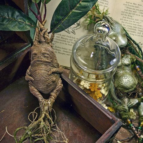 More old works... : )  #artdolls #handmadedolls #sculpture #mandrake #magicplants #magicalcreatures #fantasycreature #fantasyart #creaturedesigner #creatures#fairytale #fairies #fairytalecreatures #folklore #roots #mandrakes #fantasy #elementals #mothernature #apothecary #braids #puppets #bjd #bjddoll #dollartist Herbology Aesthetic, Hogwarts Classes, Fairytale Creatures, Harry Potter Oc, Hufflepuff Aesthetic, Kitchen Witchery, City Folk, Harry Potter Theme, Spirit Dolls