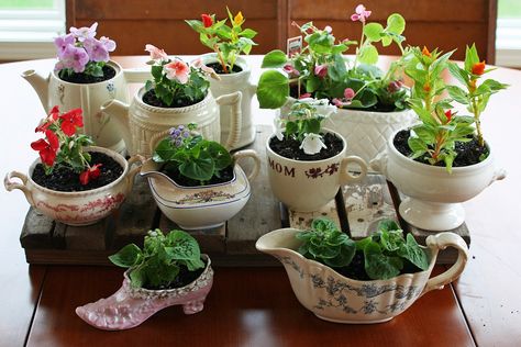 plants in pretty little unexpected "pots" Perfect for small outdoor spaces or theme gardens...set on a "repurposed" garage sale nightstand or occasional table. ~This & That Gifts, Frankfort, IL Plants In Teacups, Plants In Tea Cups, Plant Sale Ideas, Ikea Hyllis, Farmers Market Booth, Hippie Party, Dainty Flowers, Local Farmers Market, Small Outdoor Spaces