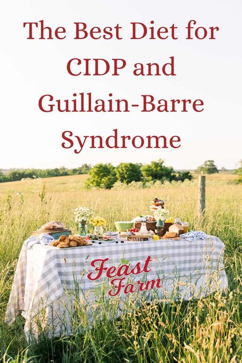 The CIDP and Guillain-Barre Syndrome diet that helps even when healthcare professionals don't think it will. See how I changed my future with food. Gilbert's Syndrome Diet, Gillian Barre Syndrome, Gbs Syndrome, Gilbert's Syndrome, Autoimmune Disease Symptoms, Guillain Barre, Guillain Barre Syndrome, Autoimmune Diet, Inflammation Diet