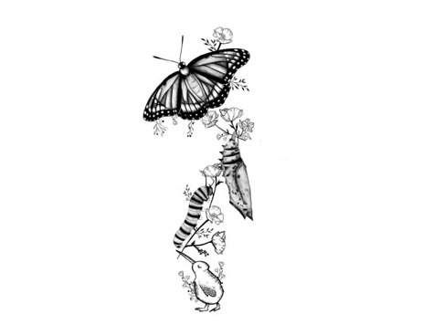 Caterpillar To Butterfly Transformation, Butterfly Transition Tattoo, Monarch Butterfly Life Cycle Tattoo, Stages Of Butterfly Tattoo, Butterfly Tattoo Metamorphosis, Stages Of Butterfly Life Cycle Tattoo, Caterpillar Turning Into Butterfly Tattoo, Stages Of A Butterfly Tattoo, Cocoon To Butterfly Tattoo