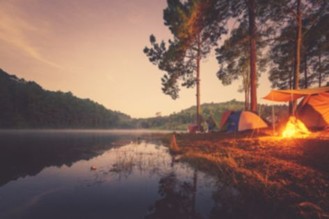 5 Best Free Camping Spots in Tennessee | Drivin' & Vibin' Camping Bags, Camping In Tennessee, Camping In Pennsylvania, Tennessee Valley Authority, Camping In Texas, Best Campgrounds, Spring City, Family Tent, Camping Area