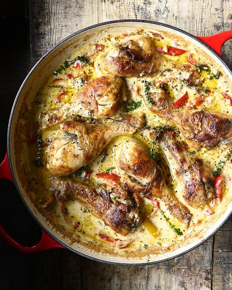 50 minutes. Creamy Black Pepper Chicken Drumsticks. One-skillet oven baked drumsticks with a creamy pepper sauce and roasted bell peppers. Recipes With Tomatoes, Serving Dumplings, French Chicken Recipes, Chicken Recipes With Tomatoes, Baked Drumsticks, Chicken Drums, French Chicken, Celebration Food, Black Pepper Chicken