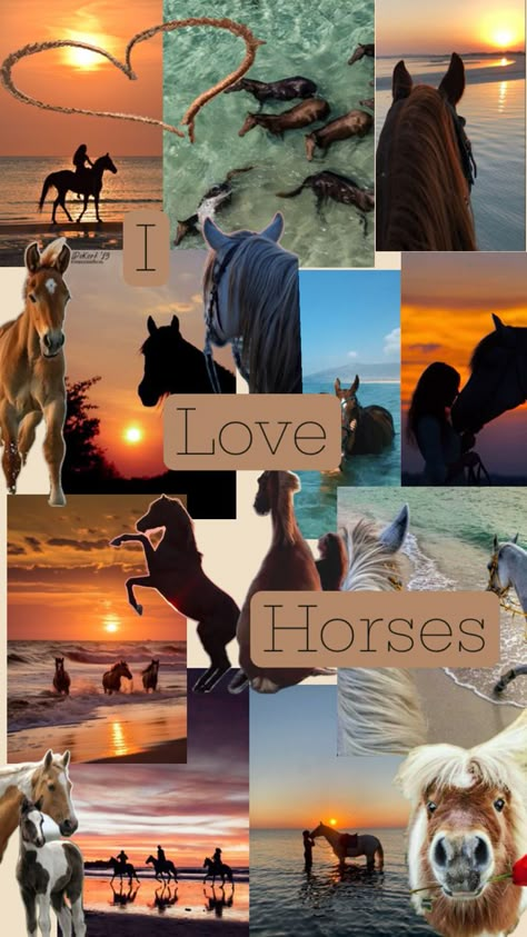 Crafts For Room Decor, Crafts For Room, Horse Collage, Horse Themed Bedrooms, Horse Background, I Love Horses, Horsey Life, Horse Art Drawing, Wild Animal Wallpaper