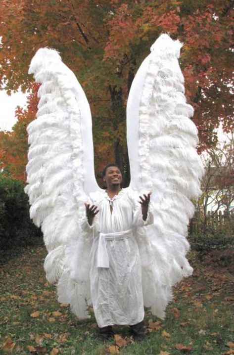 #anjo #fantasias #festa Dragon Wings Costume, Male Angels, Angel Wings Costume, Black Angel Wings, Feather Angel Wings, Christmas Pageant, Angel Costume, All Saints Day, Angels Among Us