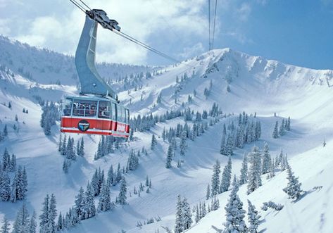 The Snowbird Tram. Laps with 3,000+ vertical!! Snowbird Utah, Jackson Hole Skiing, Utah Ski, Whistler Ski, Snow Lake, Utah Skiing, Best Vacation Spots, Ski Vacation, Best Family Vacations