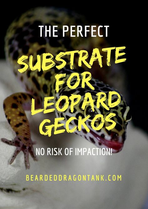 Leopard Gecko Food, Reptile Diy, Barrel Garden Planters, Leopard Gecko Habitat, Leopard Gecko Care, Leopard Gecko Tank, Gecko Habitat, Gecko Tank, Diy Reptile