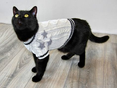 Your cat is ready to shine! Inspired by Taylor, this sweater has been crafted down to the smallest detail to make your pet look as cool as you do in your folklore Cardigan :) With love for your pets, we created this sweater so that even on a cloudy or frosty day your pet feels comfortable. This sweater is knitted from acrylic yarn with the addition of wool which gives sweaters durability and ability to warm up. Knitted Cat Sweater, Cat Cardigan, Pull Bleu Marine, Folklore Cardigan, Taylor Swift Cat, Cardigan Handmade, Pet Sweaters, Beige Pullover, Cat Sweater