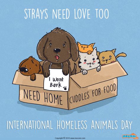 Psa Poster, Animal Shelter Design, Animal Day, Cute Dog Drawing, Dog Lover Quotes, Shelter Design, Waiting For Love, Day Pictures, Flyer Ideas