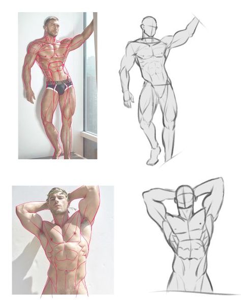 Muscle Arms Reference, Holding Cylinder Reference, Flexing Biceps Reference, Short Pants Drawing Reference, Male Muscles Reference, Male Arms Crossed Pose Drawing, Muscular Man Anatomy, Hunched Shoulders Reference, Male Muscle Anatomy Reference