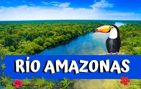 El río Amazonas : Donde nace, por qué países pasa y características