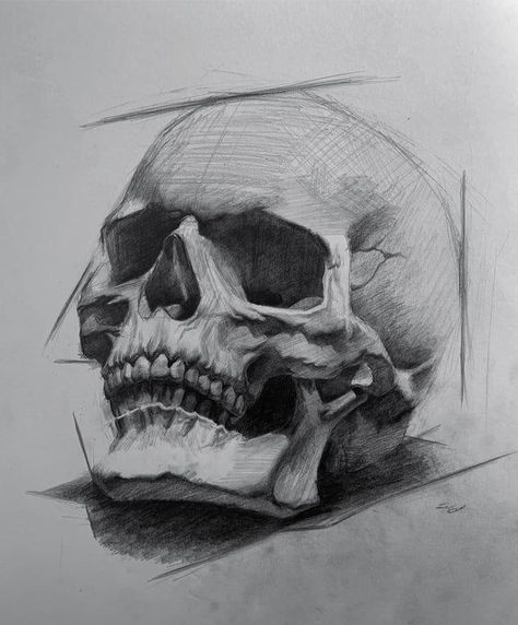 Halloween Drawing Ideas, Skull Anatomy, Skull Reference, Skull Sketch, Skeleton Drawings, Skull Art Drawing, Skulls Drawing, 얼굴 그리기, Human Anatomy Art