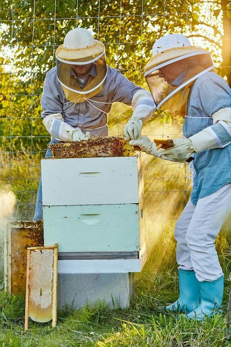 Beekeeper Aesthetic, Beehive Photography, Beekeeping Photography, Beekeeping Aesthetic, Bee Keeping For Beginners, Apiary Beekeeping, Honey Hive, The Birds And The Bees, Beekeeping For Beginners