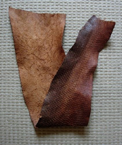 How to tan salmon skins with tannins from tree bark. You really have to feel how luxuriously soft and leathery it is to believe it. Hide Tanning, Tanning Hides, How To Tan, Tanning Skin Care, Bush Craft, Post Apo, Bushcraft Skills, Salmon Skin, Fish Skin