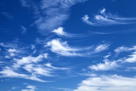 Cirrus Clouds Nimbostratus Clouds, Types Of Clouds, Cumulonimbus Cloud, Cirrus Cloud, Lenticular Clouds, Cumulus Clouds, Clouds Photography, Thunder And Lightning, Weather And Climate