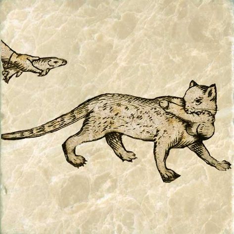 Medieval Animal Art, Medieval Cat Painting, Medieval Cat Tattoo, Medieval Scroll, Cat Tiles, Medieval Drawing, Medieval Cats, Medieval Cat, Medieval Marginalia