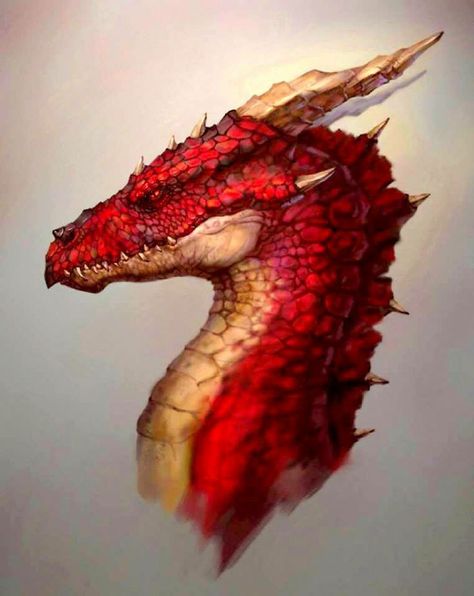 Dragon's Lair, Dragon Sketch, Mythical Beast, Dragon Pictures, Dragon Head, Dragon Artwork, Mythological Creatures, Fantasy Dragon, Mystical Creatures